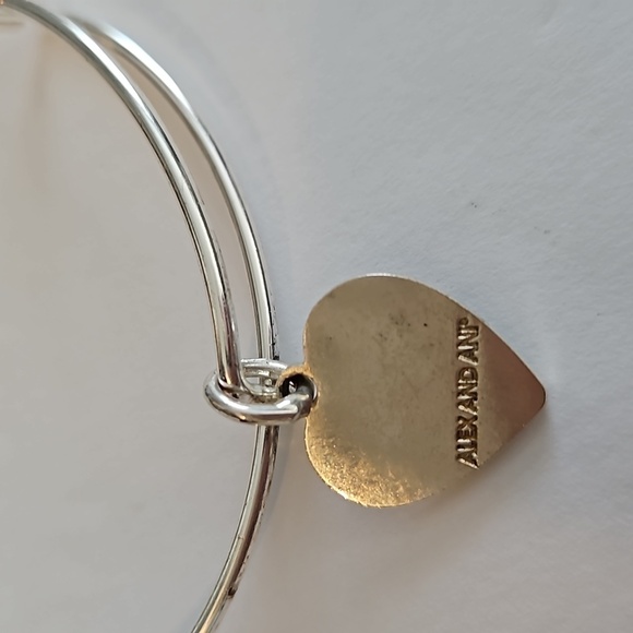 3 ALEX AND ANI Charm Bracelets - Picture 10 of 10